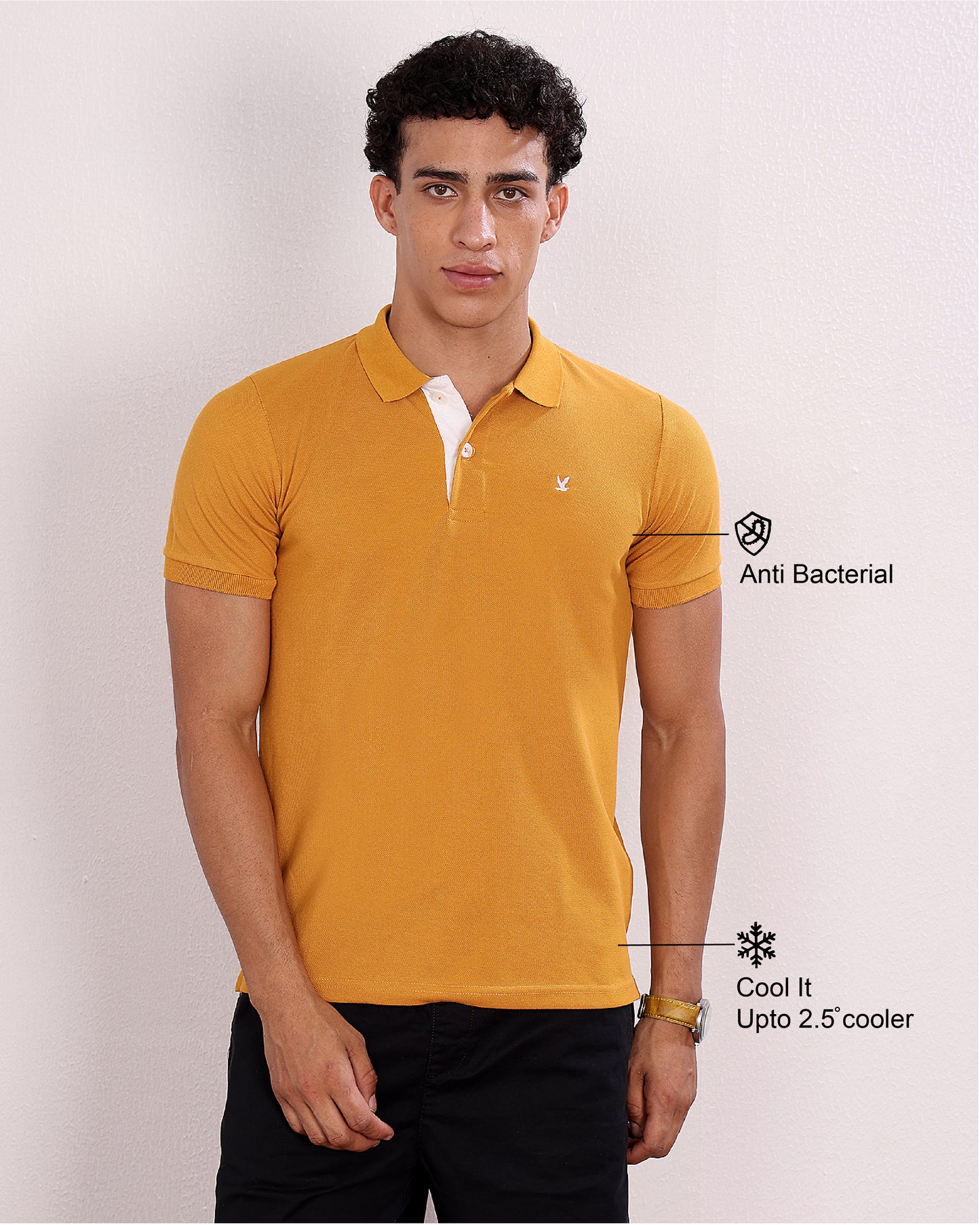 Polo T Shirt Pack of 3