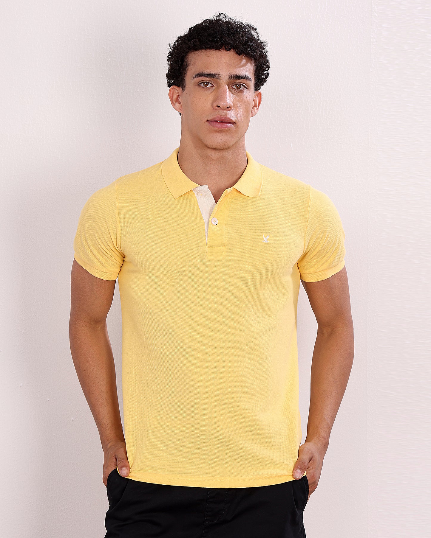 Polo T Shirt Pack of 3