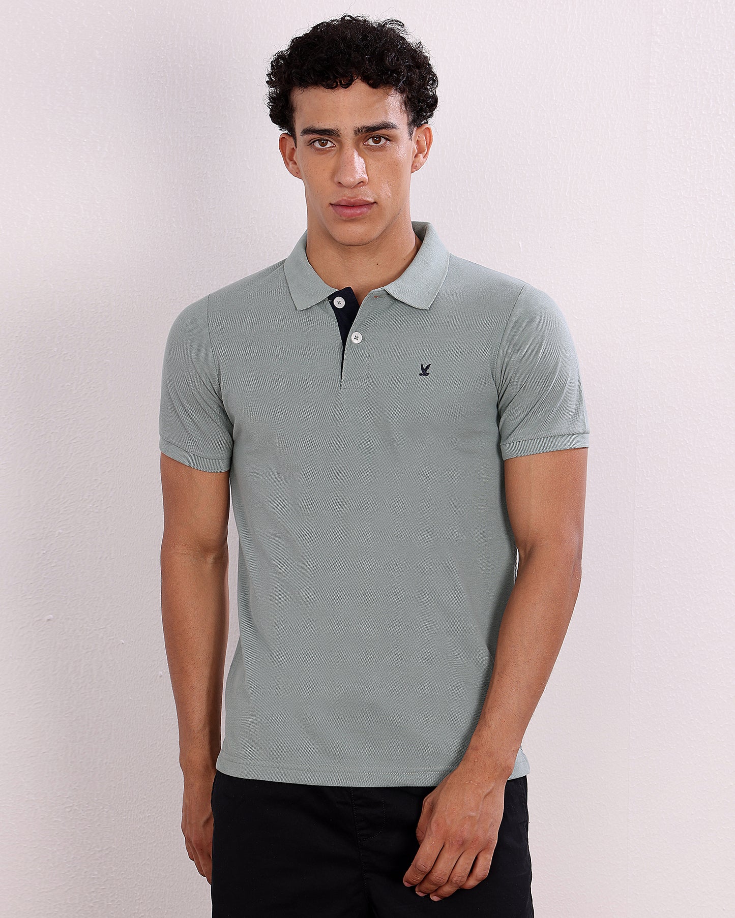 Polo T Shirt Pack of 3