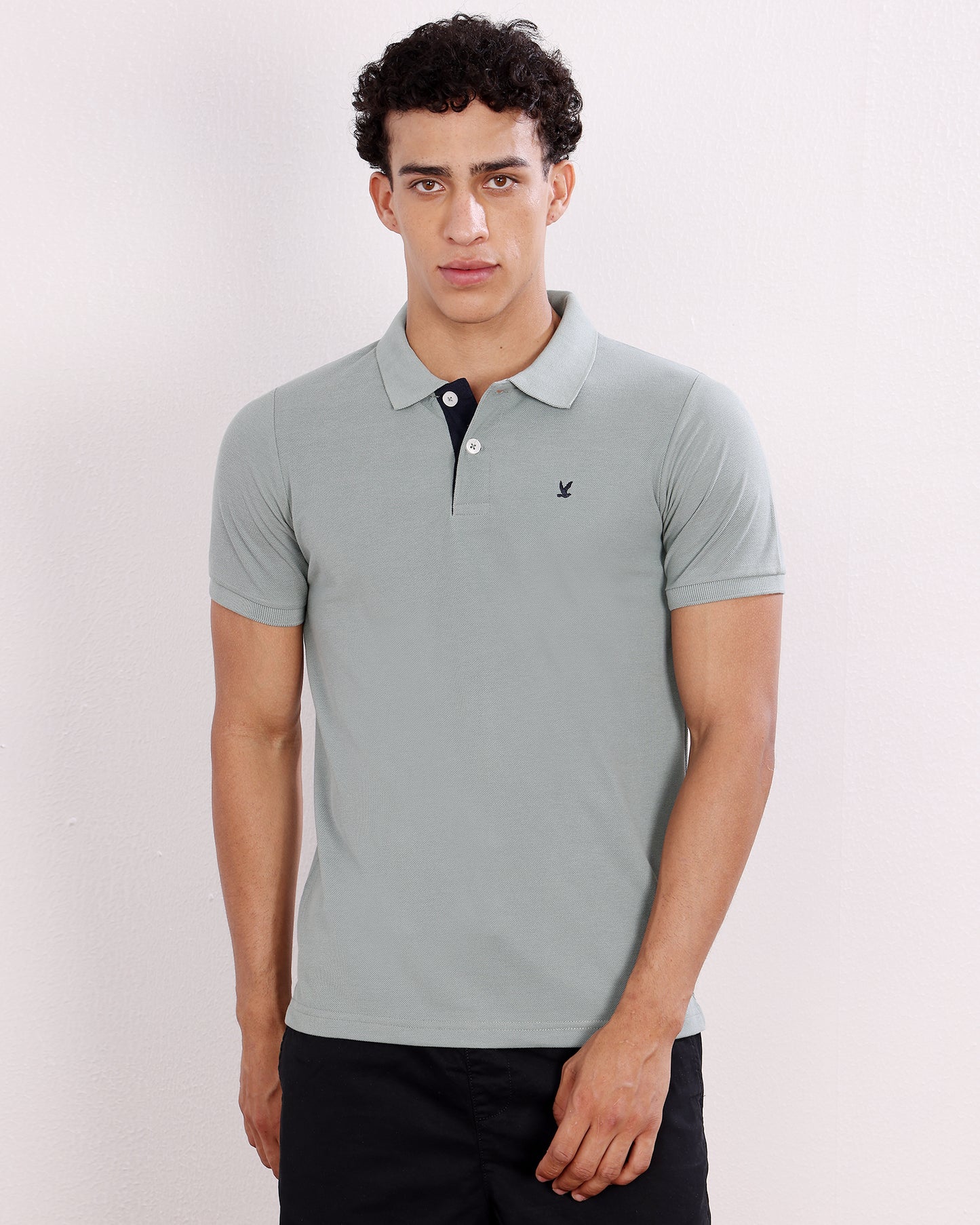 Polo T Shirt Pack of 3