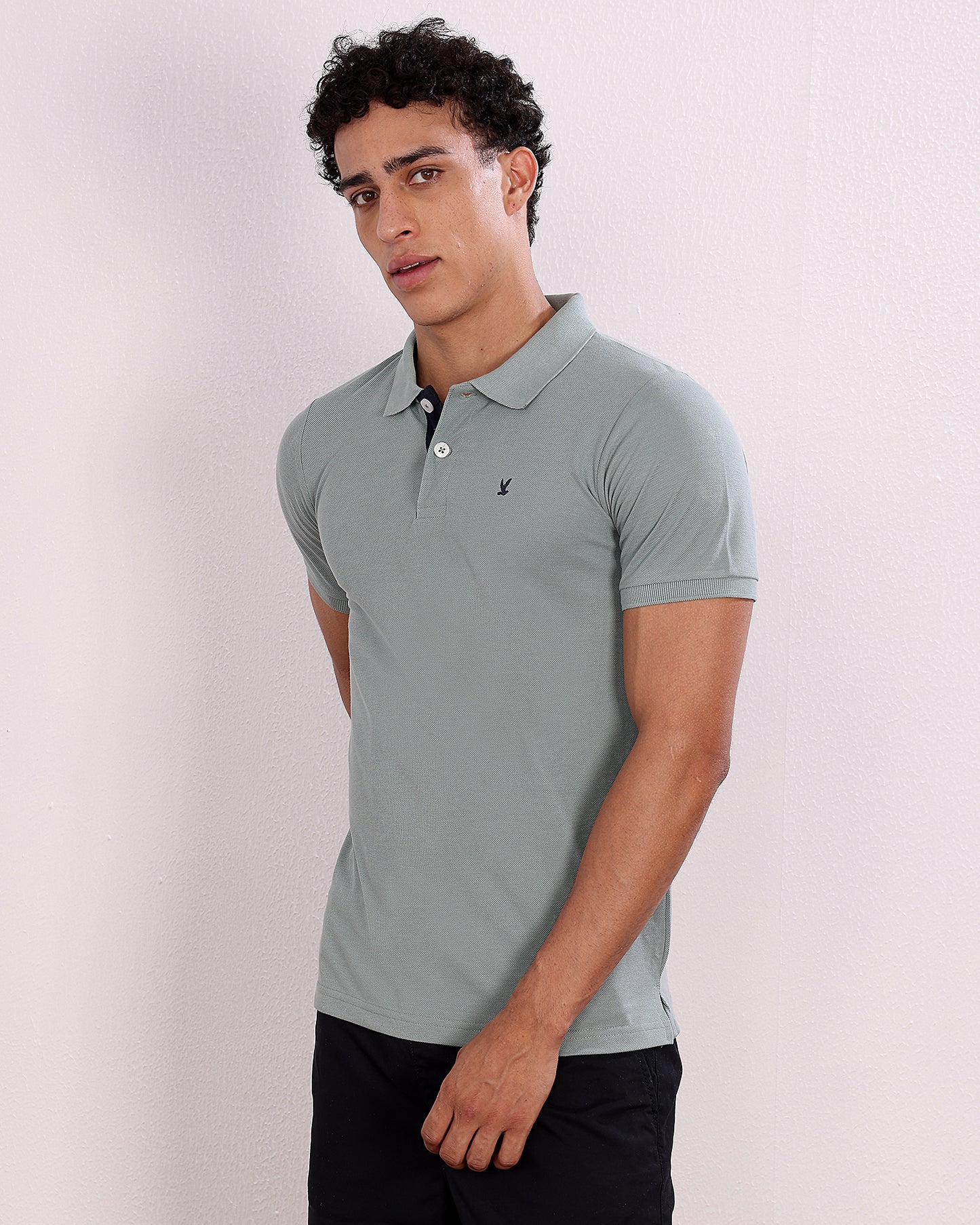 Polo T Shirt Pack of 3