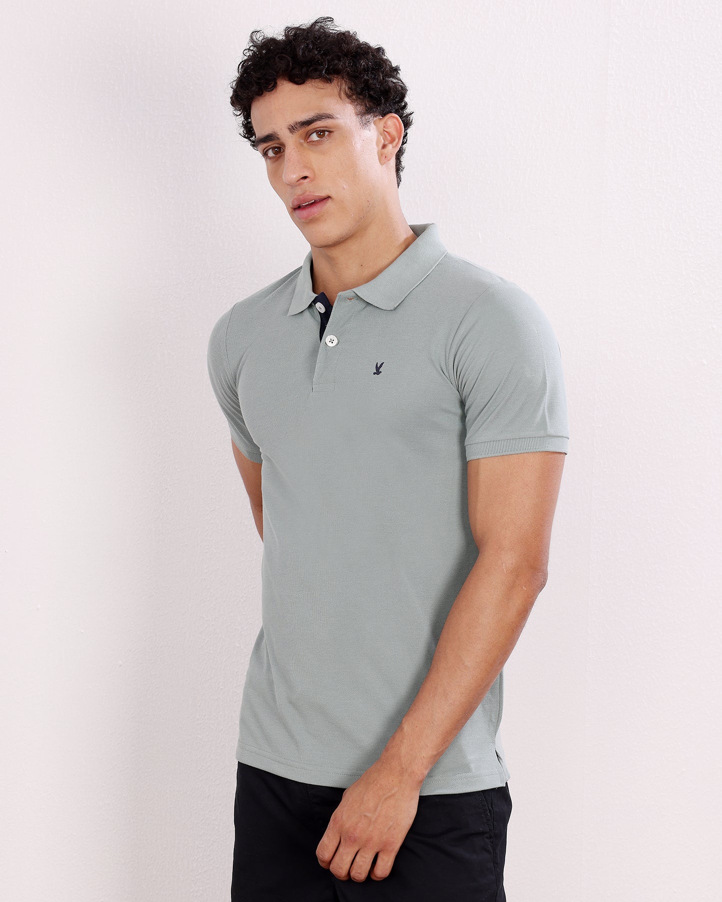 Polo T Shirt Pack of 3