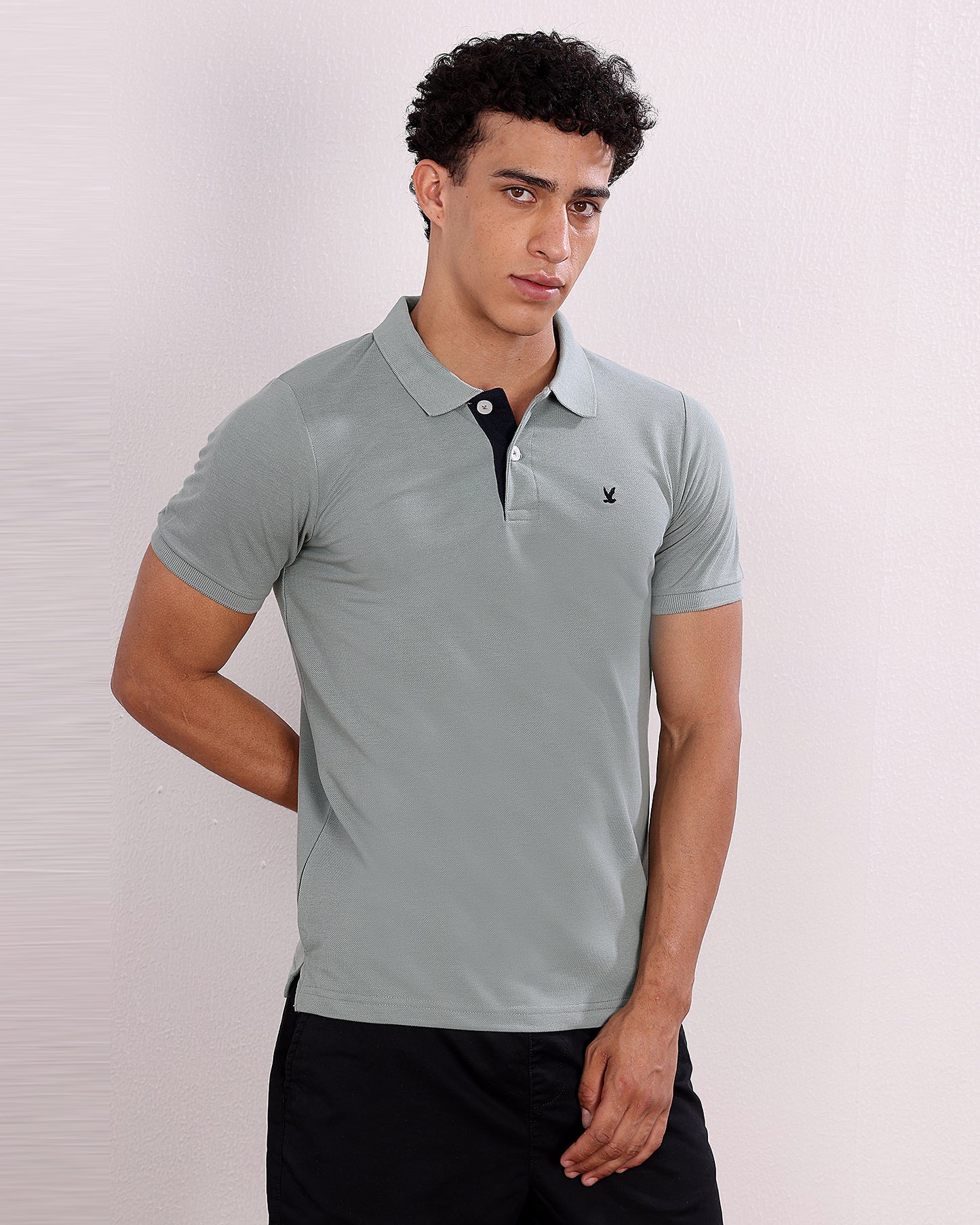 Polo T Shirt Pack of 3