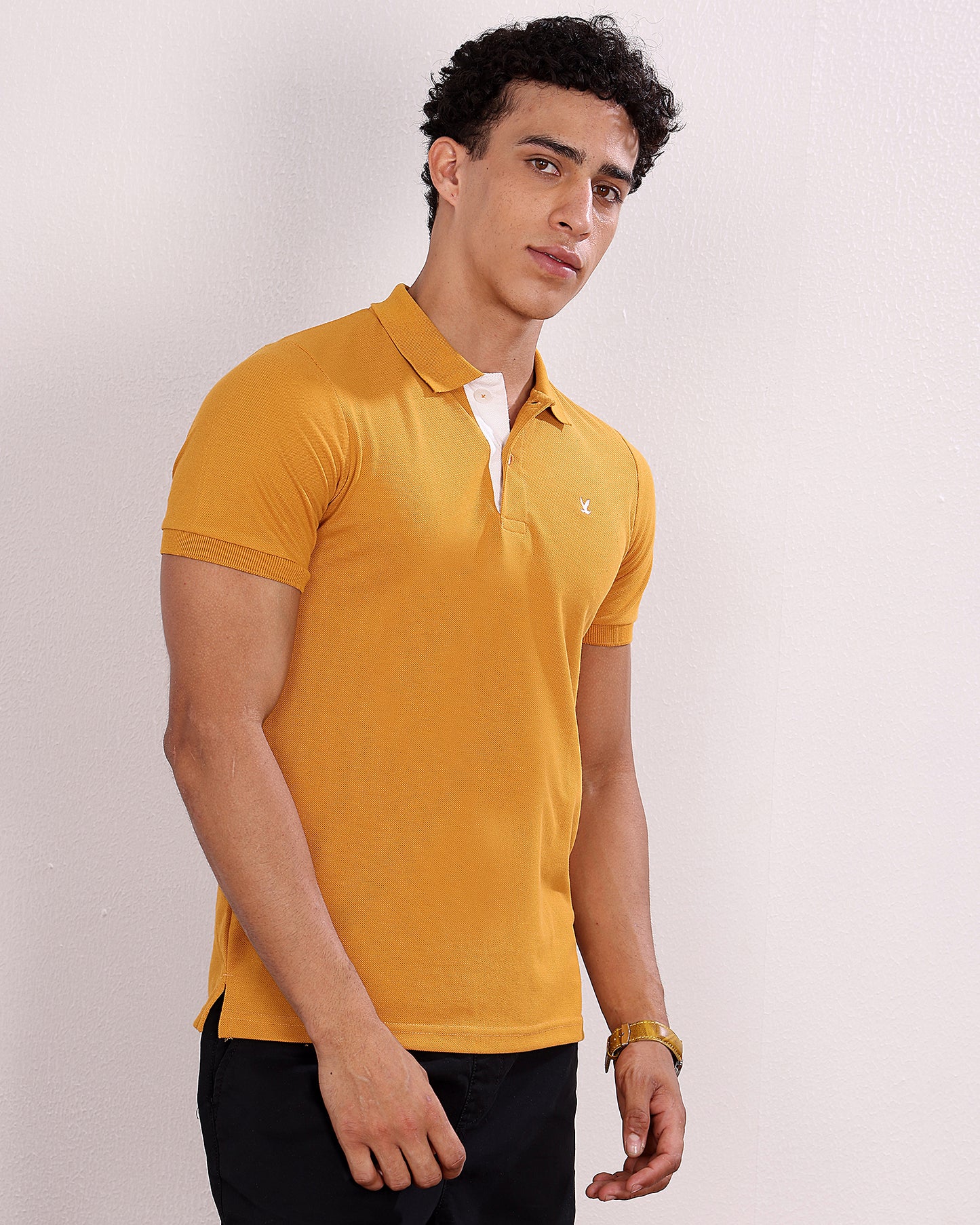 Polo T Shirt Pack of 3