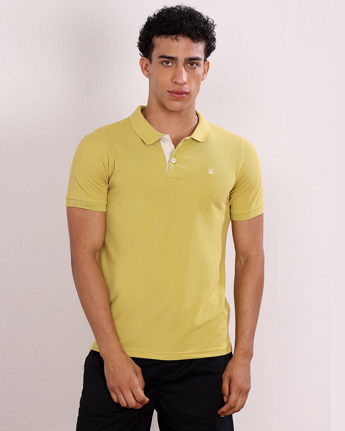 Polo T Shirt Pack of 3