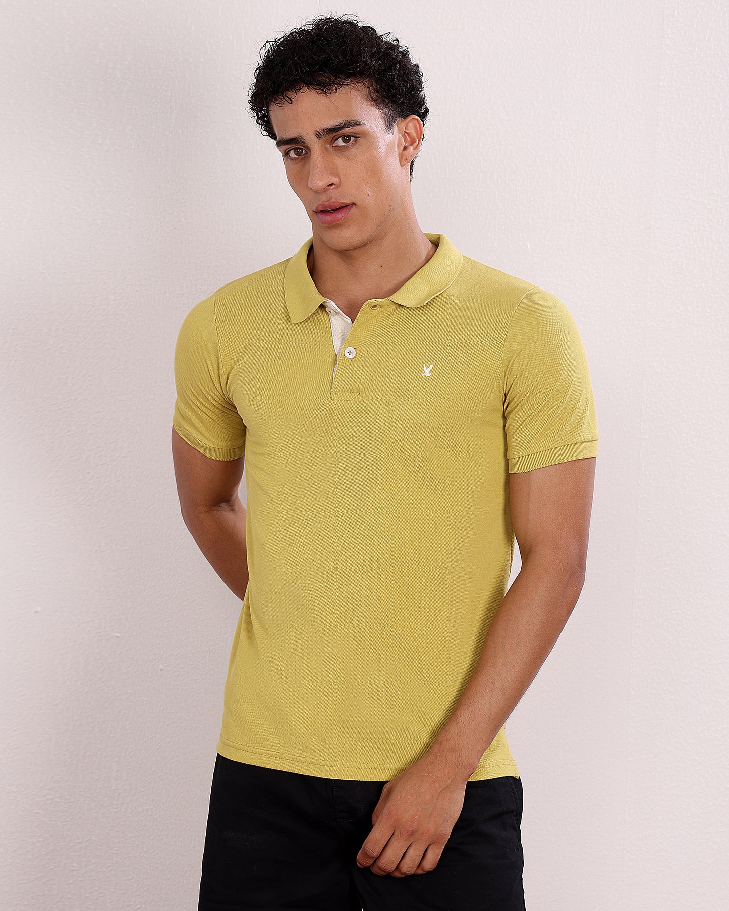 Polo T Shirt Pack of 3