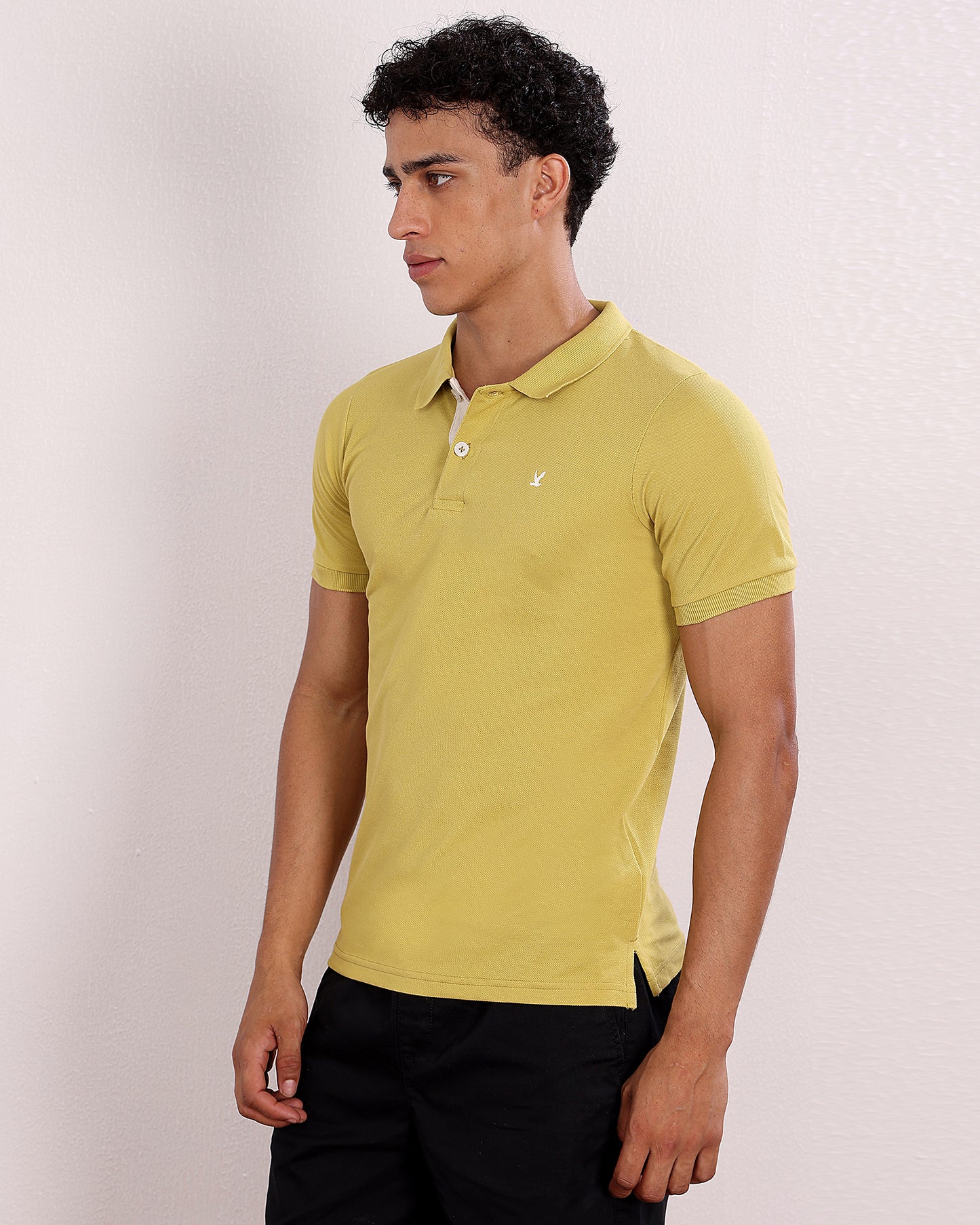 Polo T Shirt Pack of 3