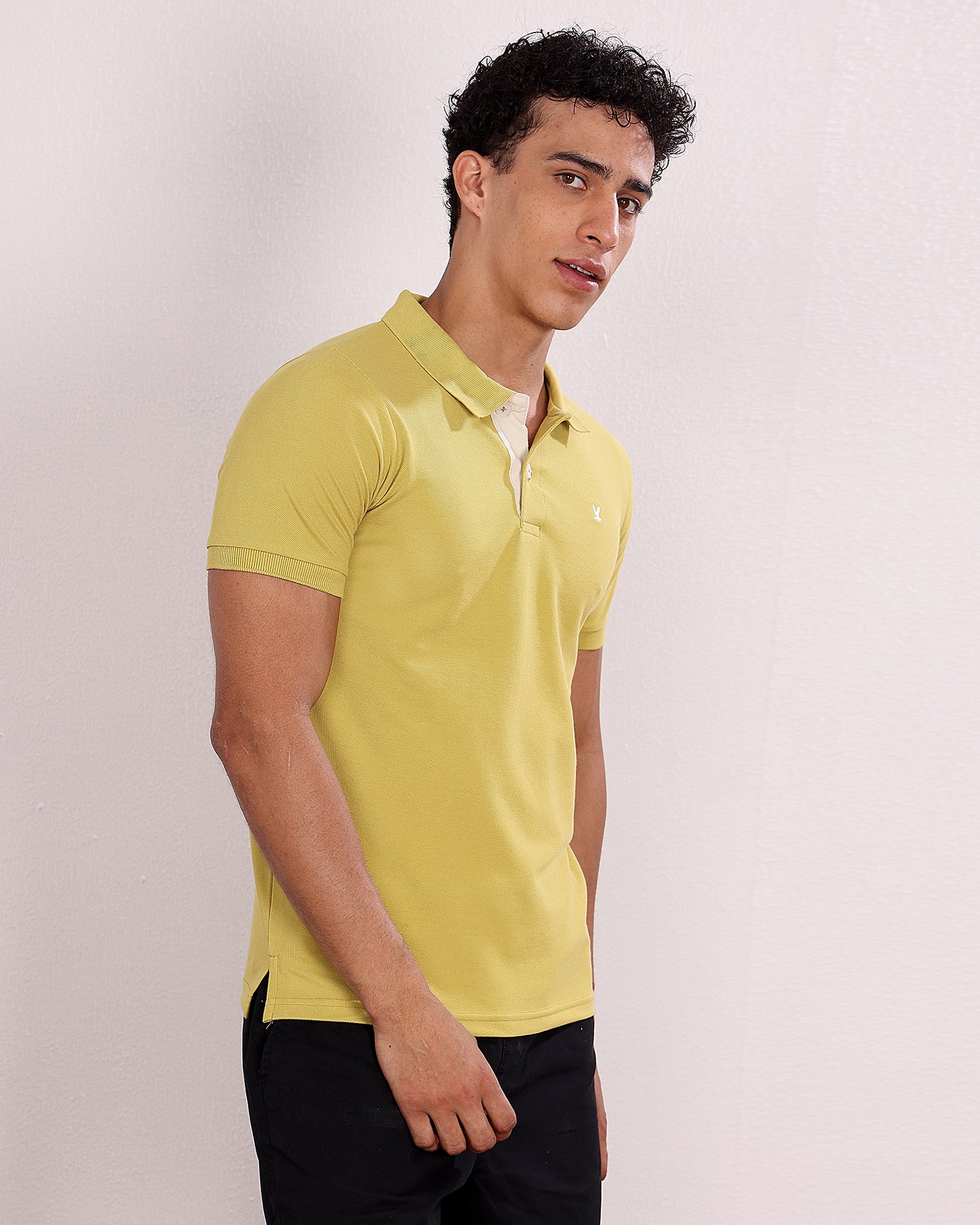 Polo T Shirt Pack of 3