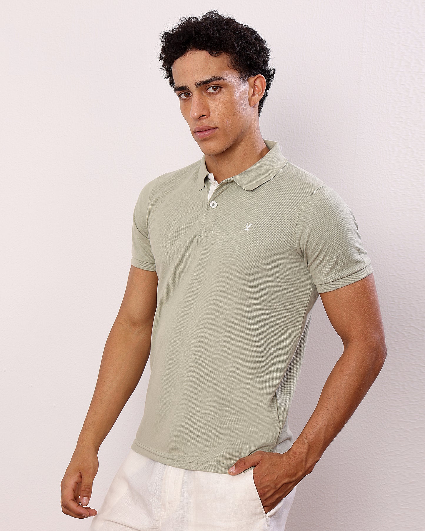 Polo T Shirt Pack of 3