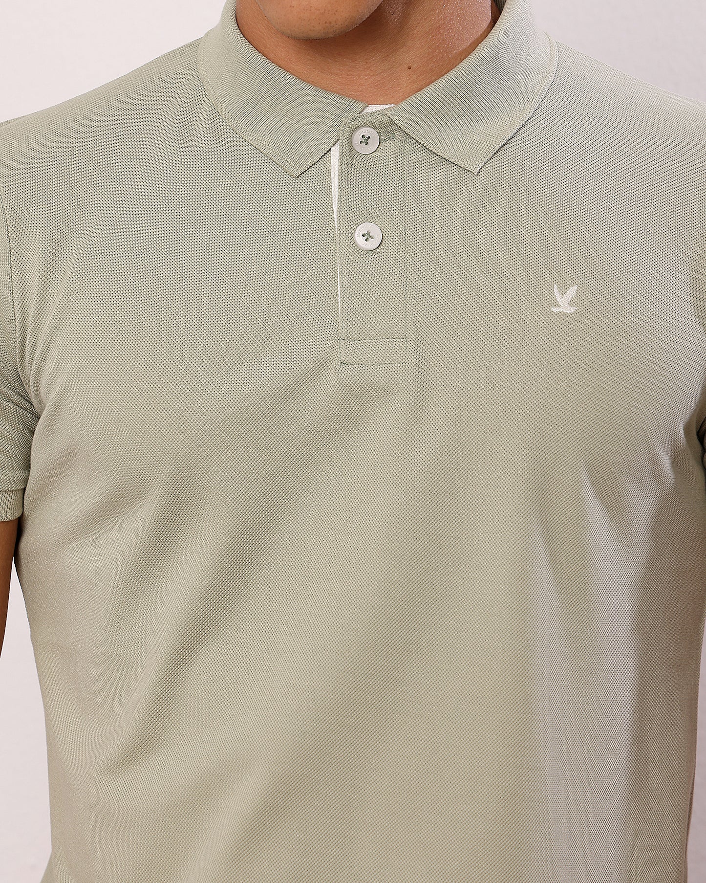 Polo T Shirt Pack of 3