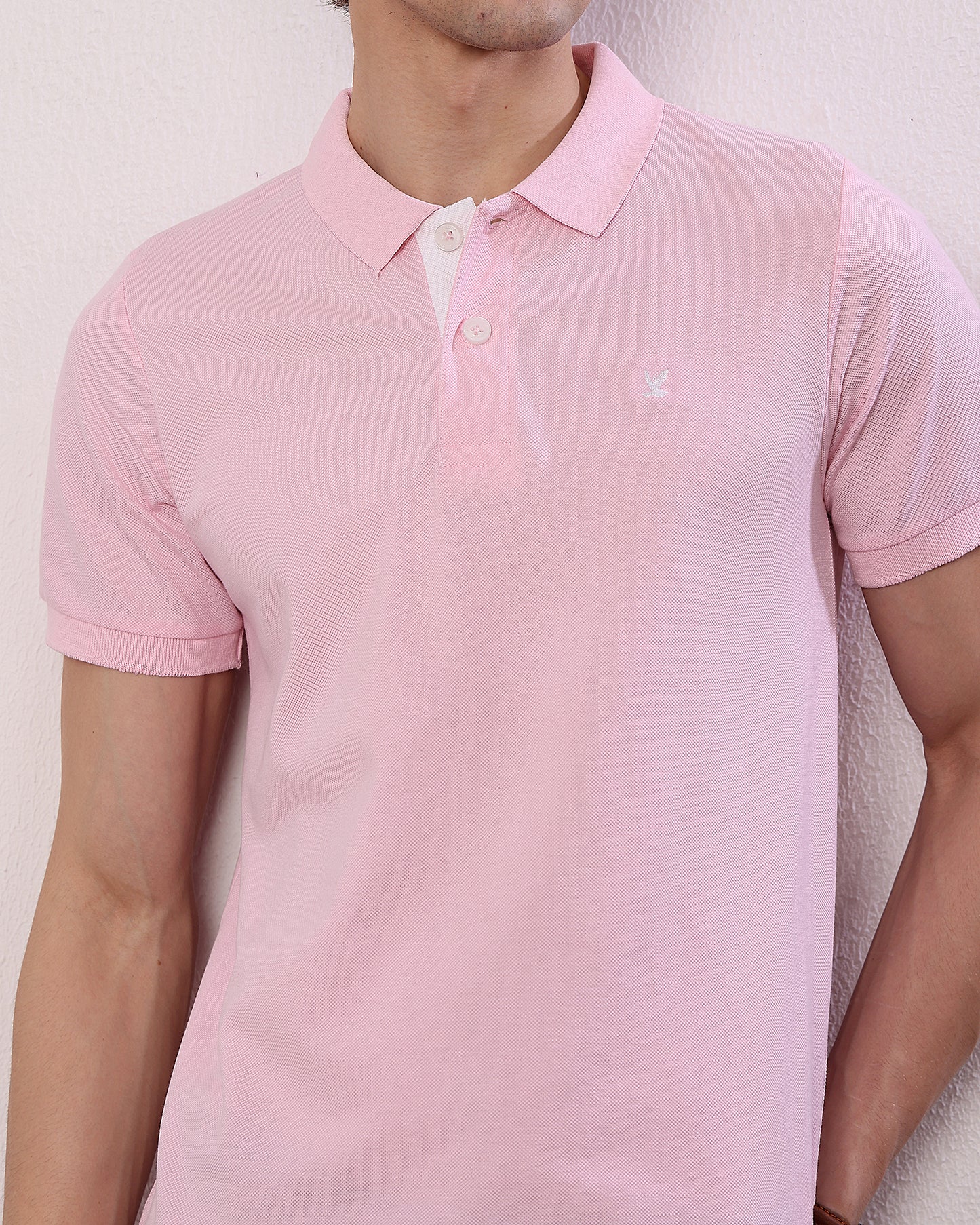 Polo T Shirt Pack of 3