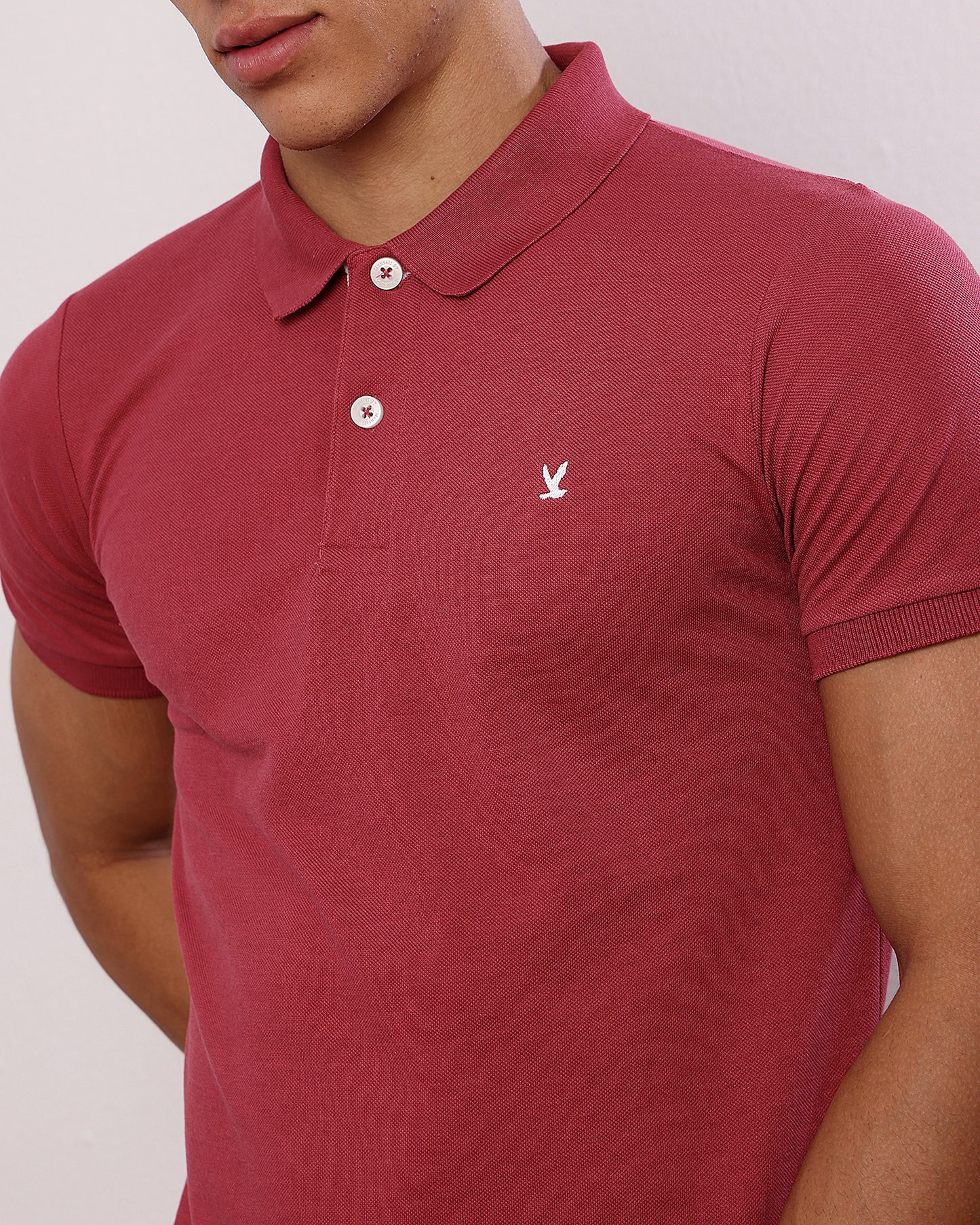 Polo T Shirt Pack of 3