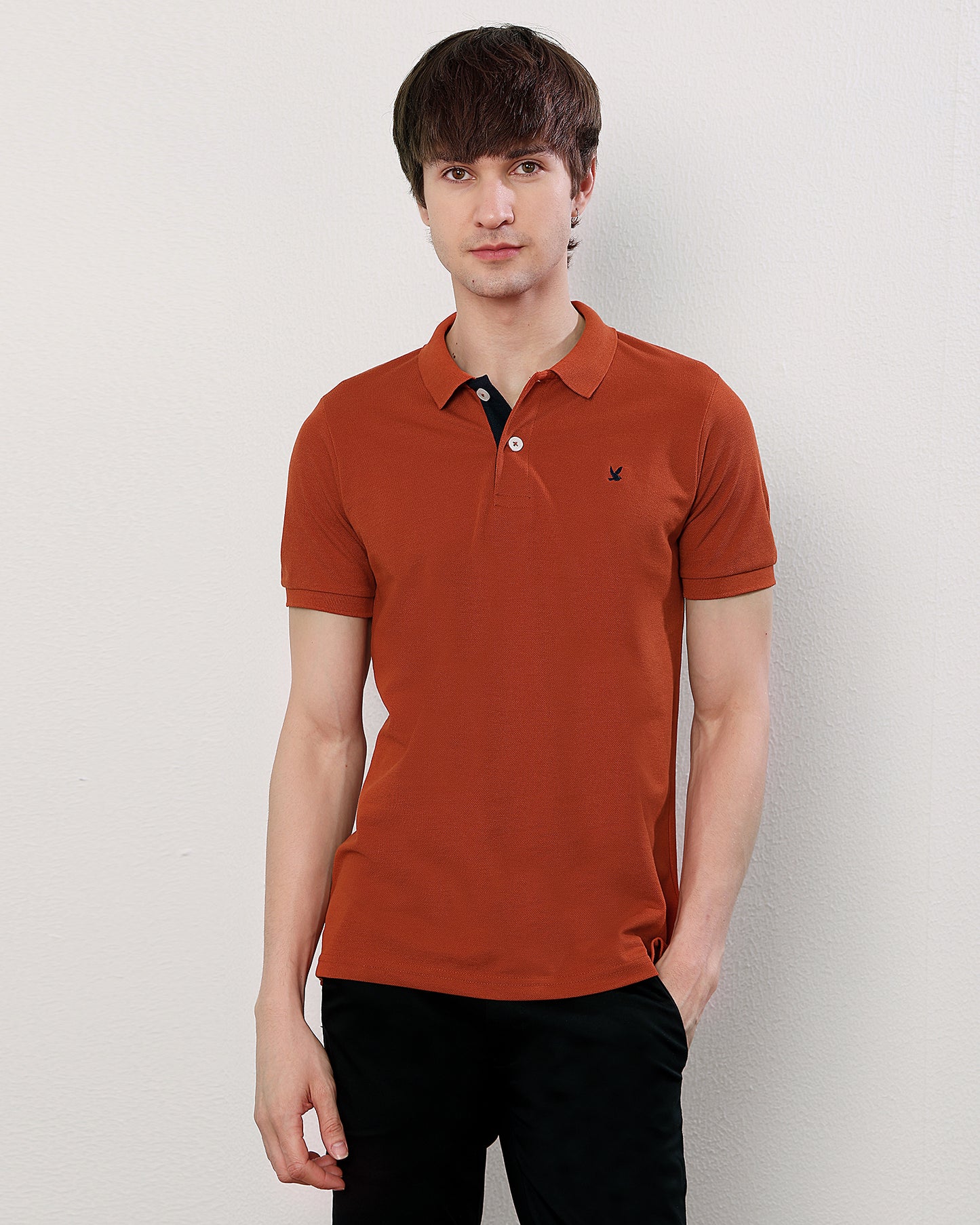 Polo T Shirt Pack of 3