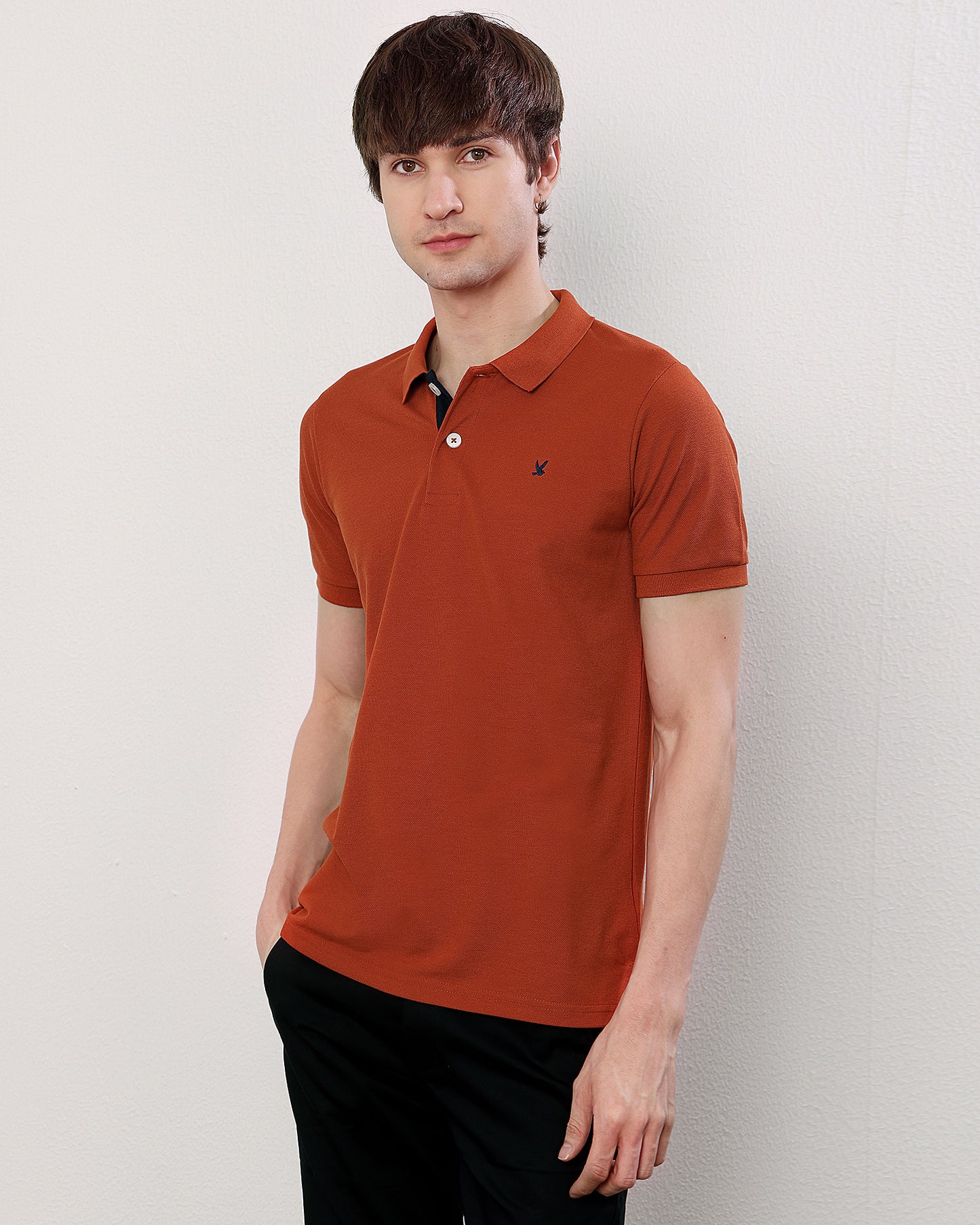 Polo T Shirt Pack of 3