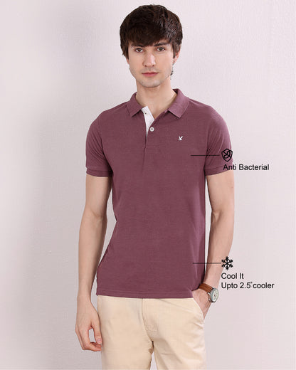 Polo T Shirt Pack of 3